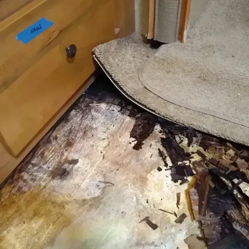 Wood Floor Water Damage in Colesville, MD